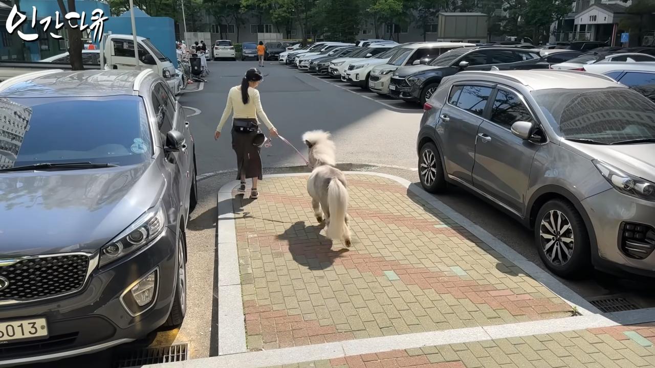국내엔 단 한마리밖에 없는 세계에서 가장 작은 말을 키우는 모델