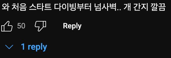 레전드 돌고래🐬쇼