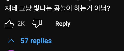 레전드 돌고래🐬쇼