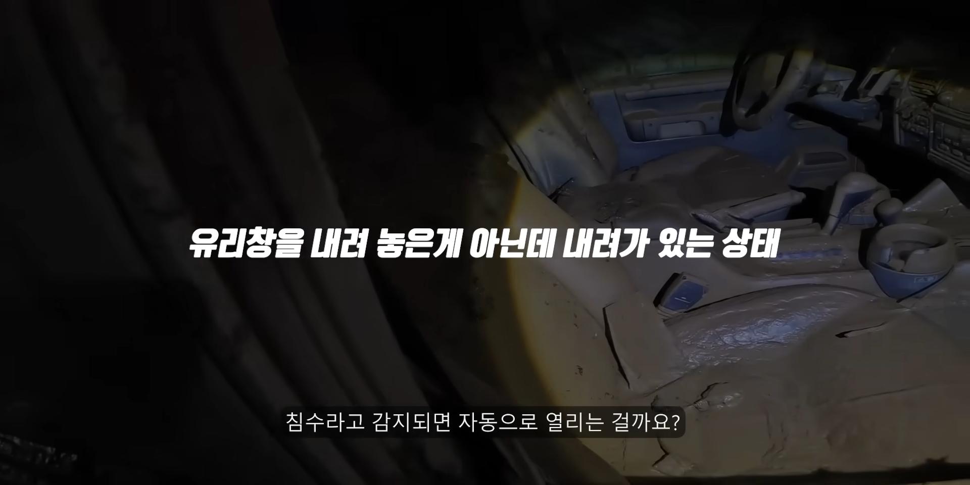 침수된 지하주차장에서 많이보이는 자동차유형