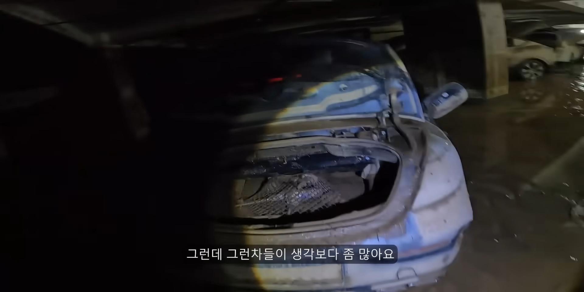 침수된 지하주차장에서 많이보이는 자동차유형