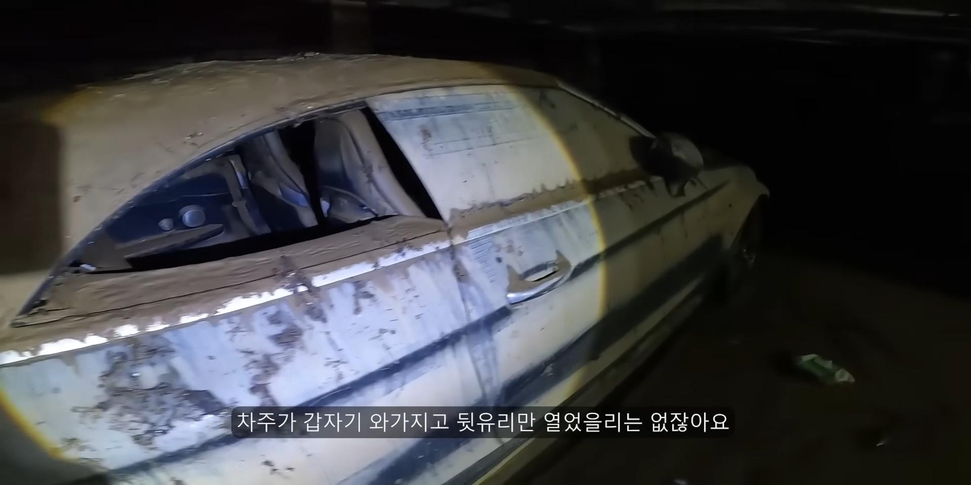 침수된 지하주차장에서 많이보이는 자동차유형