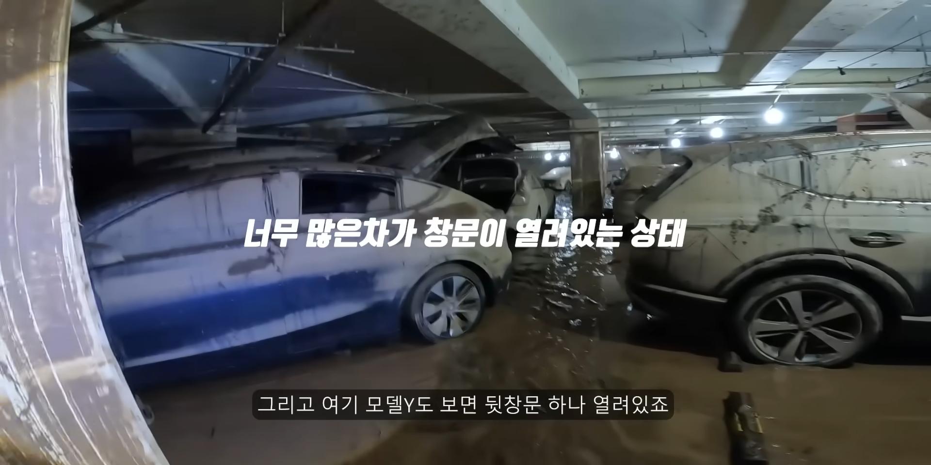 침수된 지하주차장에서 많이보이는 자동차유형