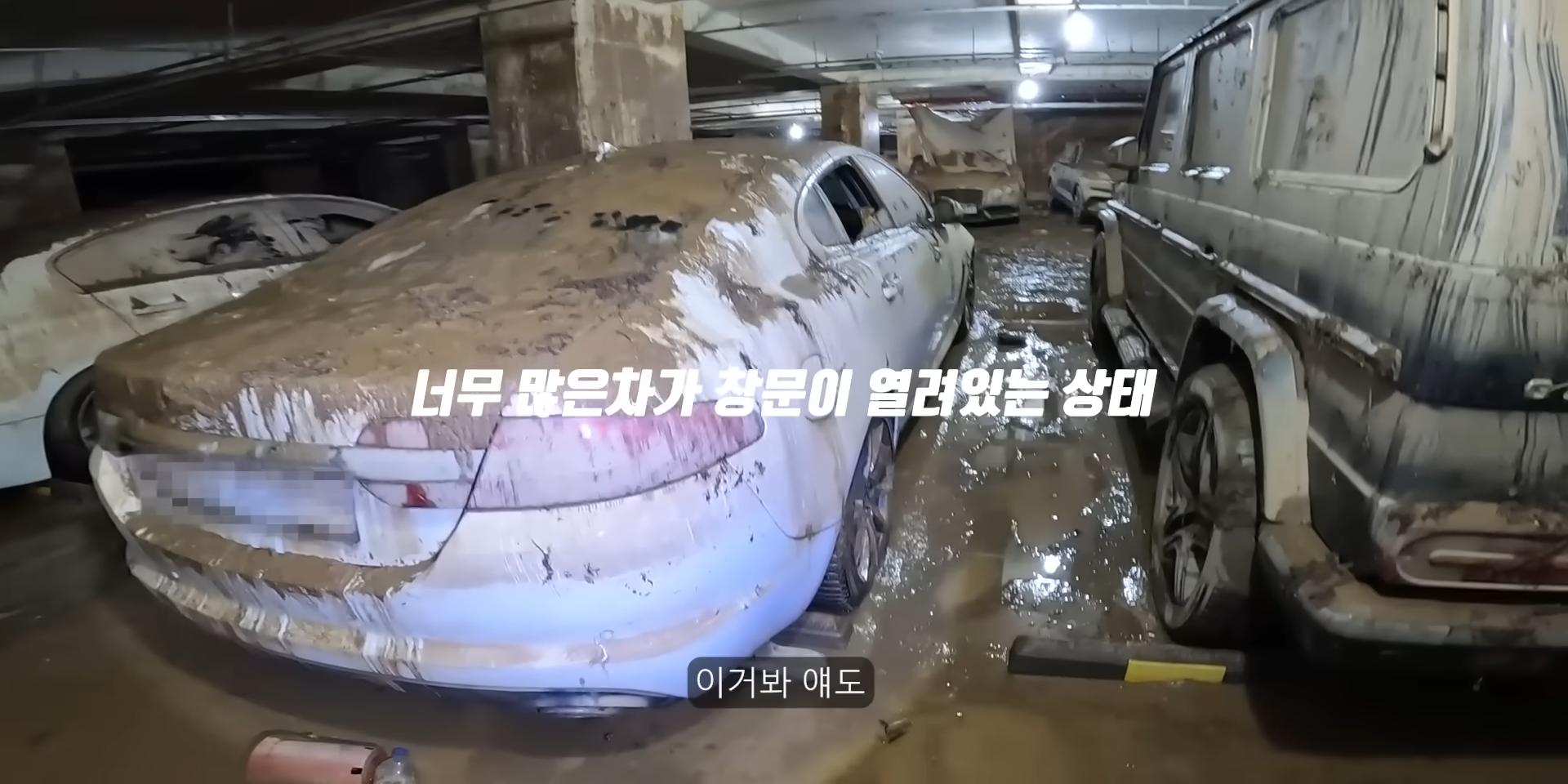 침수된 지하주차장에서 많이보이는 자동차유형