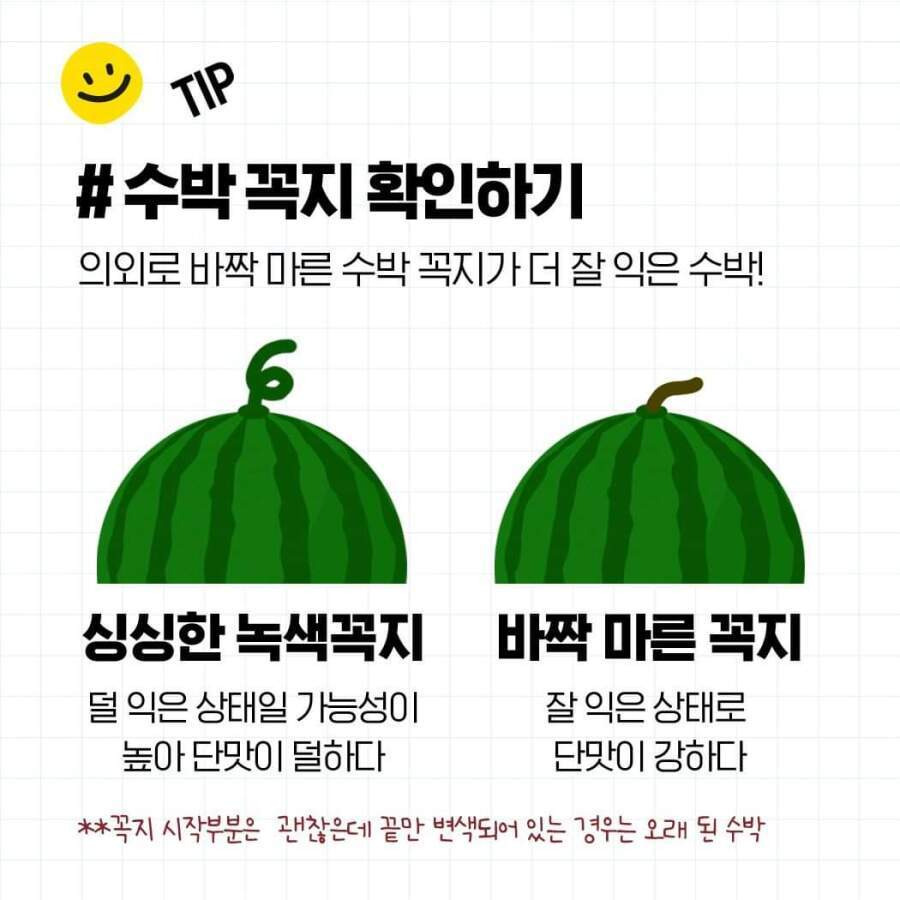두드리지 않고 꿀수박 고르는 법과 보관 방법