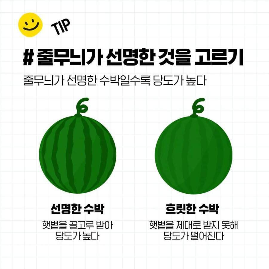 두드리지 않고 꿀수박 고르는 법과 보관 방법