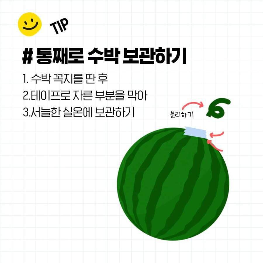 두드리지 않고 꿀수박 고르는 법과 보관 방법