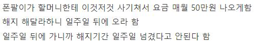 폰팔이를 지옥으로 되돌려보낸 할머니