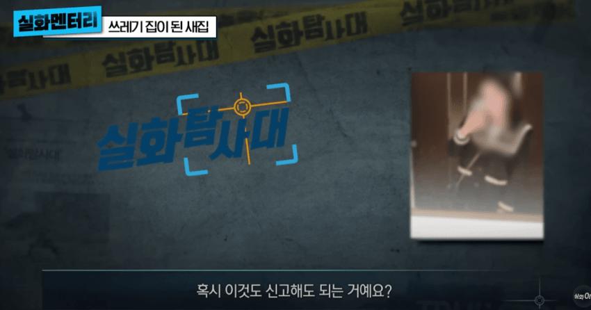 고급주택이 1년만에 쓰레기 집이 된 사연 (약혐)