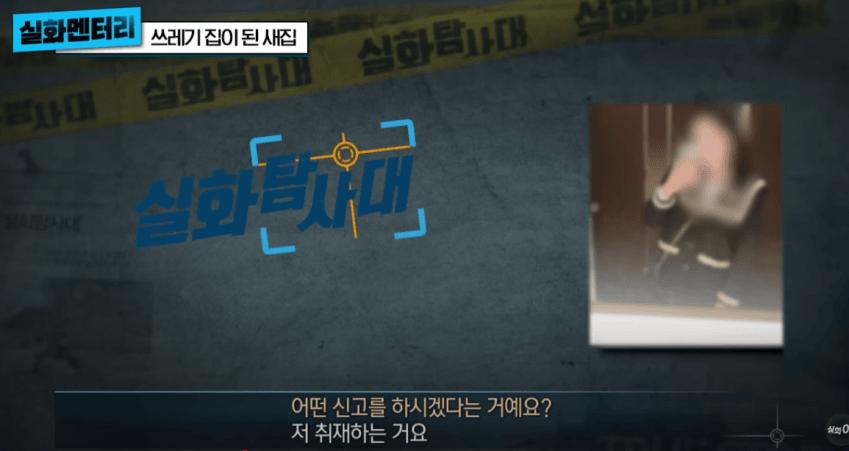 고급주택이 1년만에 쓰레기 집이 된 사연 (약혐)
