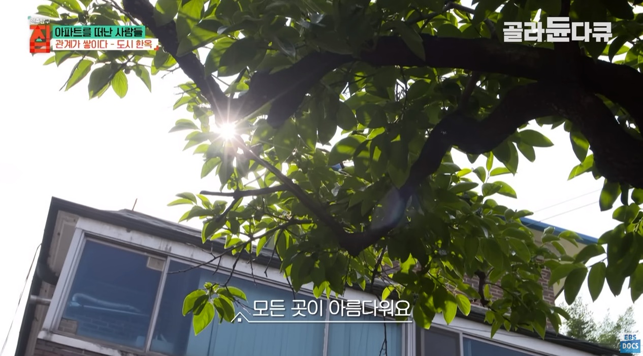 40대 아빠가 아파트 팔고 쓰러져가는 한옥을 리모델링해 이사한 이유 ㄷㄷㄷ