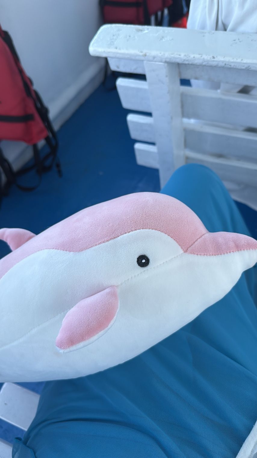 안지현