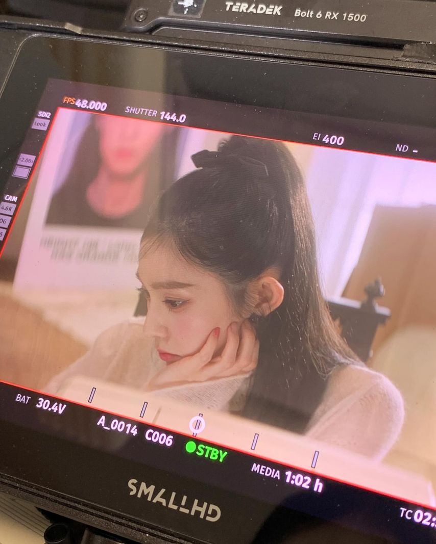 레드벨벳 아이린