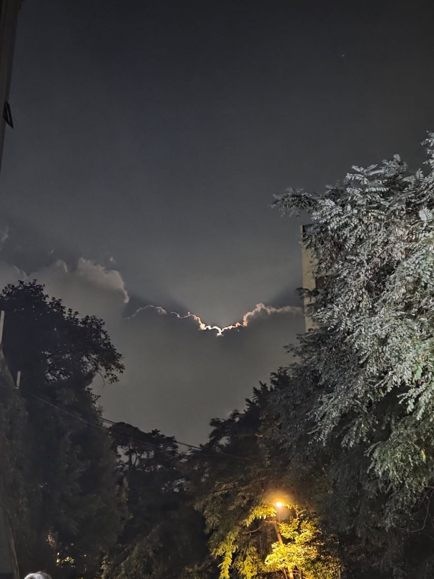 르세라핌 김채원,카즈하