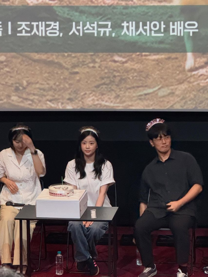 채서안