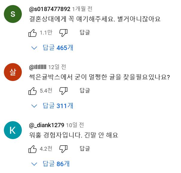 호주 워홀녀.....유튜브 댓글 대참사