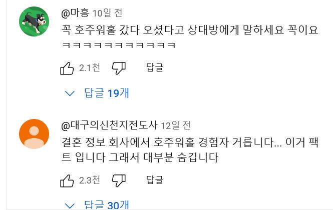 호주 워홀녀.....유튜브 댓글 대참사