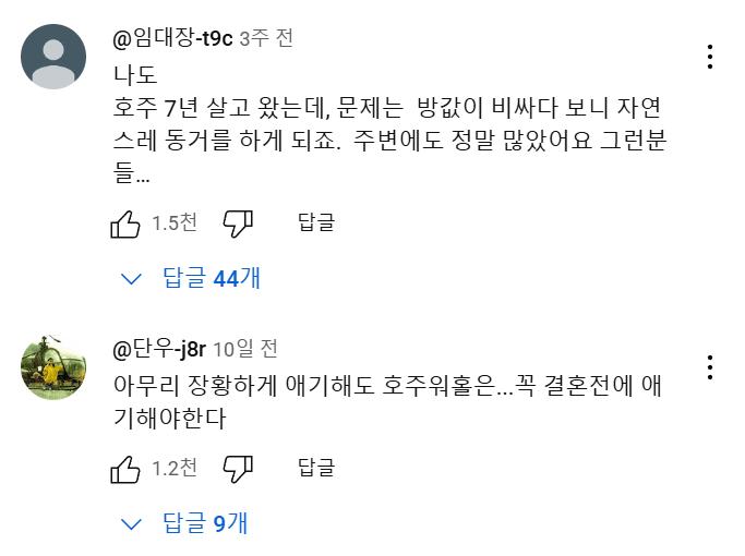 호주 워홀녀.....유튜브 댓글 대참사