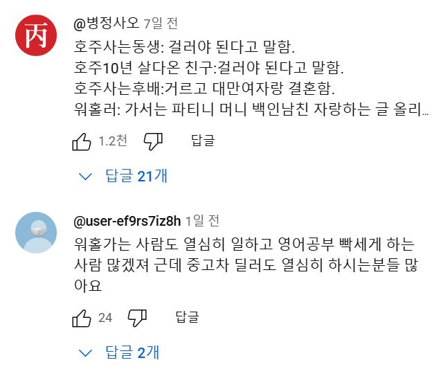 호주 워홀녀.....유튜브 댓글 대참사