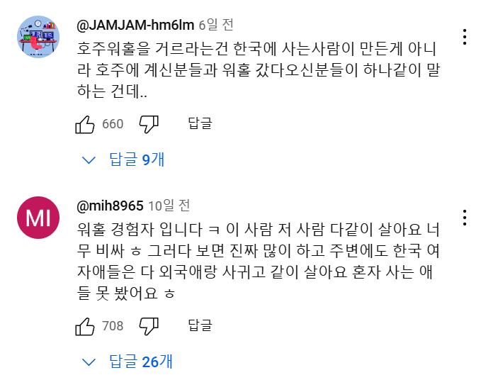 호주 워홀녀.....유튜브 댓글 대참사
