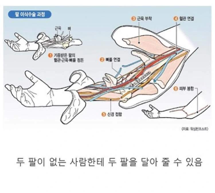 현대의학이 하지 못하는 것 한가지