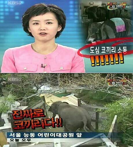 연예계 허언검증 4대장