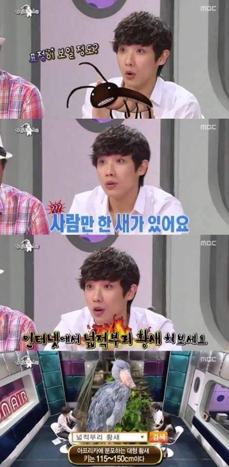 연예계 허언검증 4대장