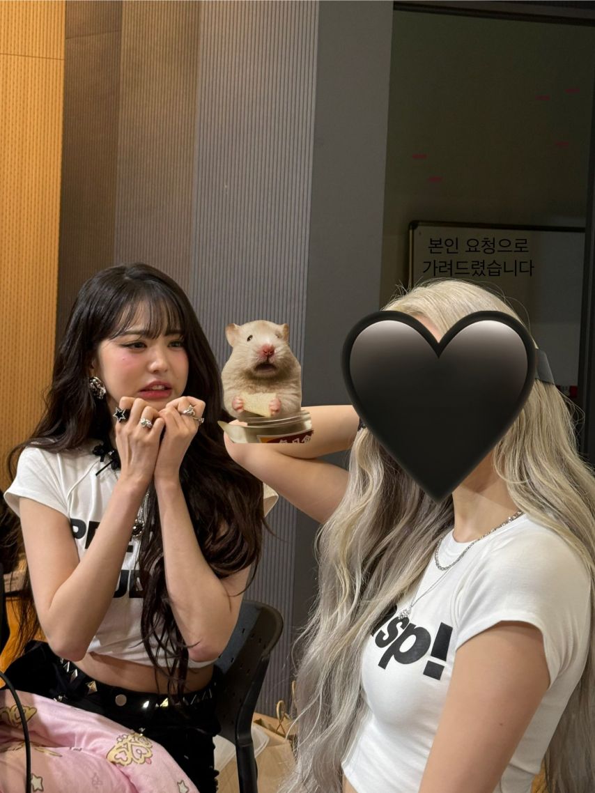 아이브 장원영 (안유진,가을,레이,이서)