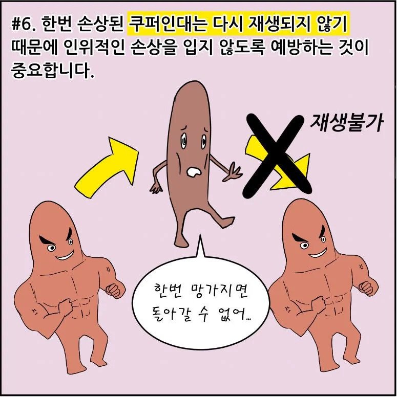 20대 여자가 할매젖이 되는 이유