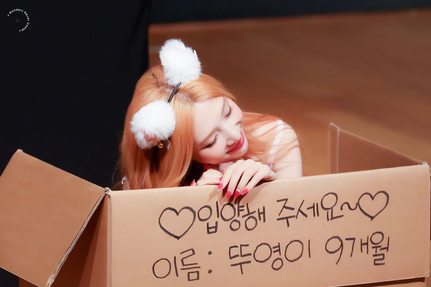 조이 (레드벨벳)