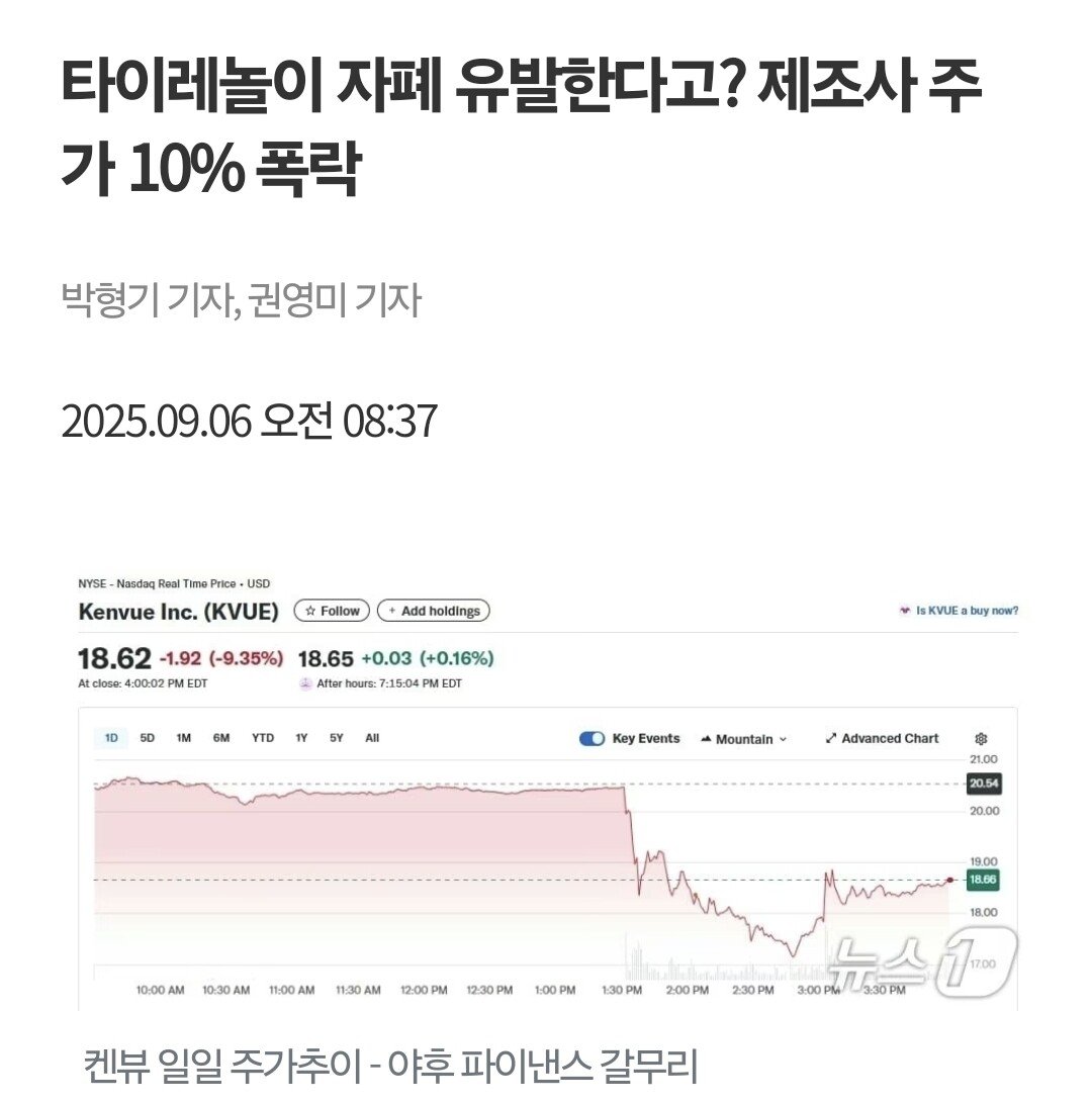 타이레놀 근황
