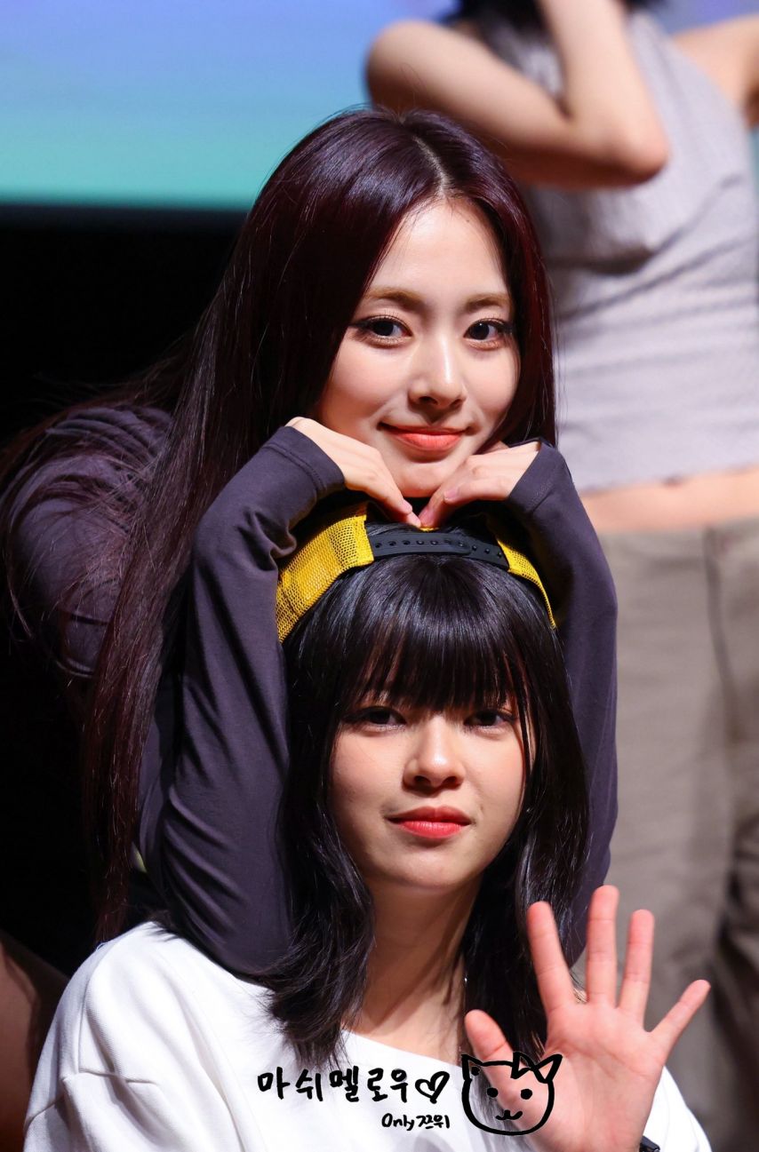 트와이스 쯔위  모모 정연