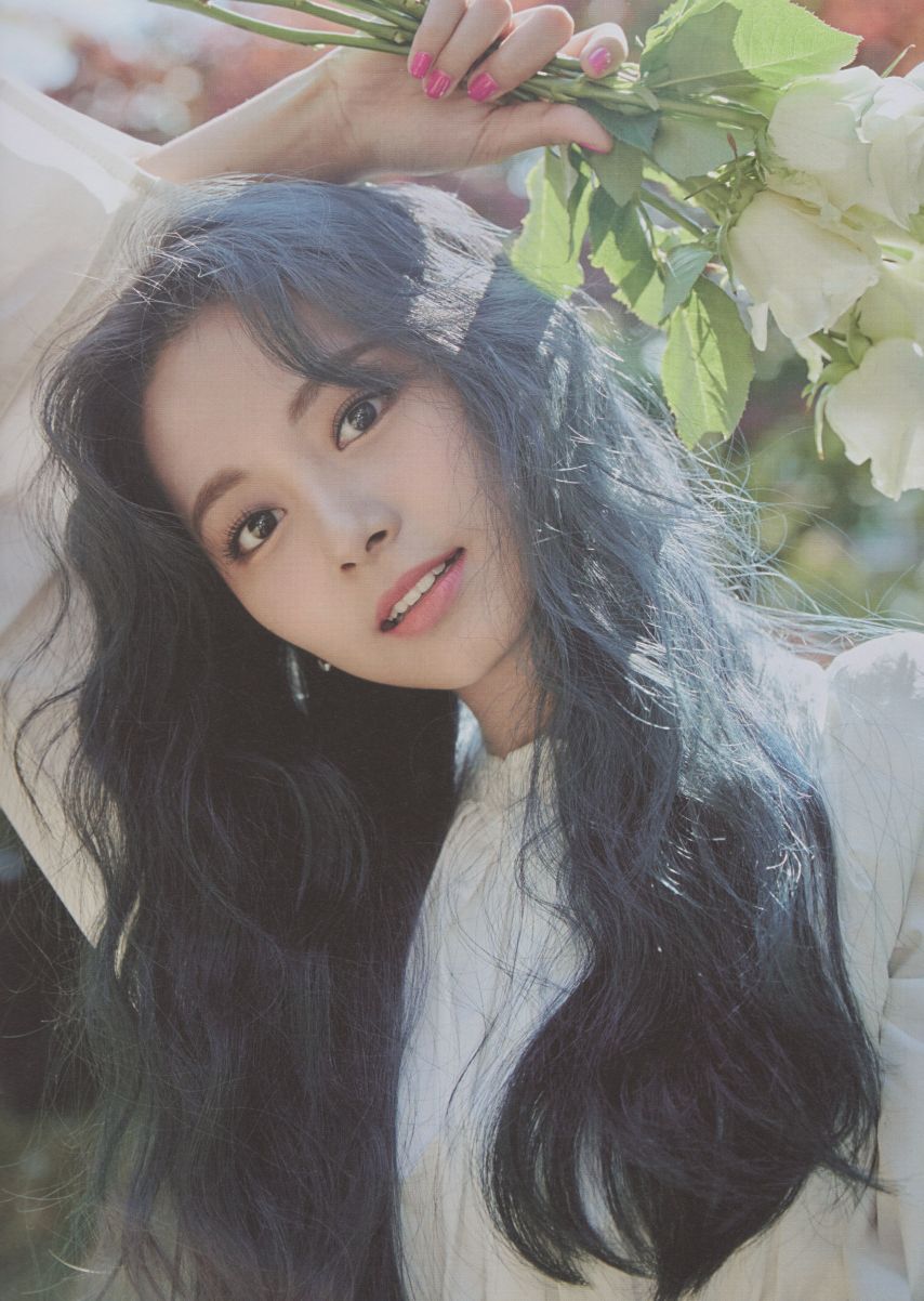 트와이스 쯔위