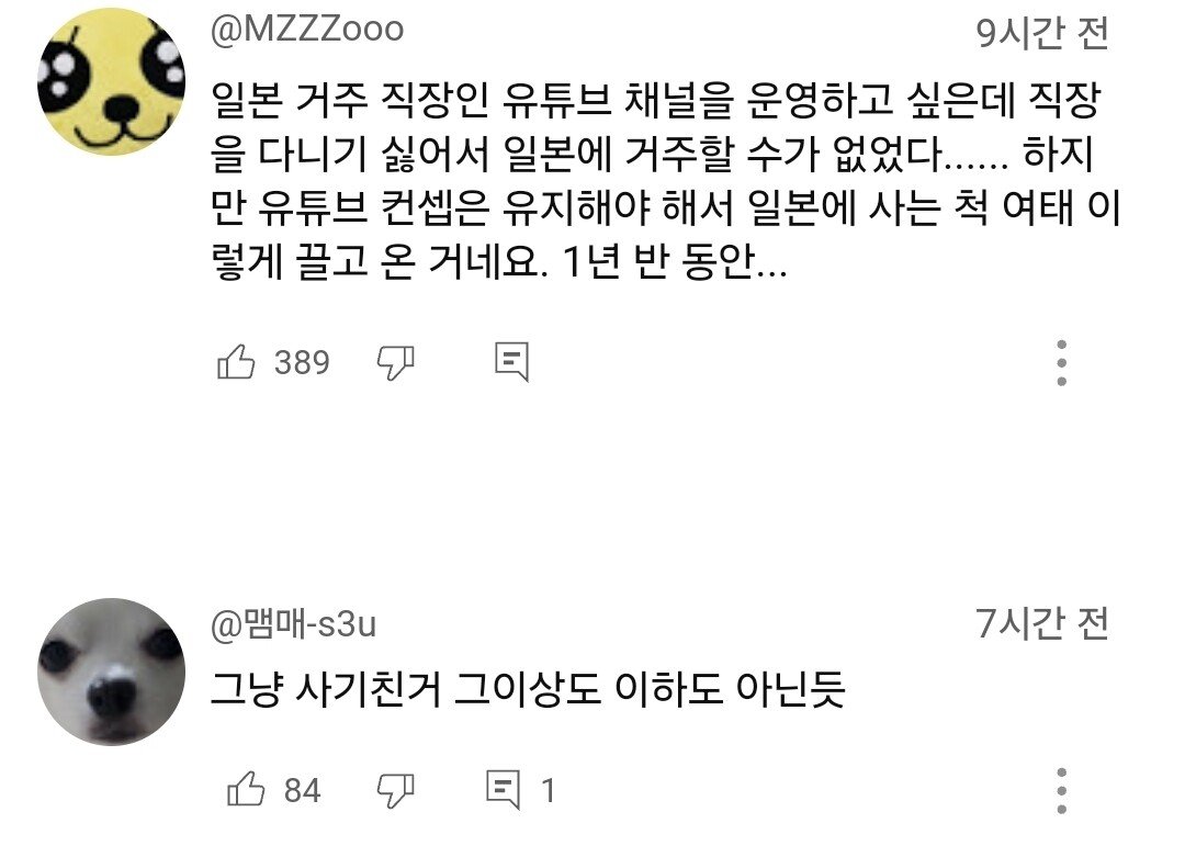 17.9만 유튜버 도쿄규짱 2차 사과내용