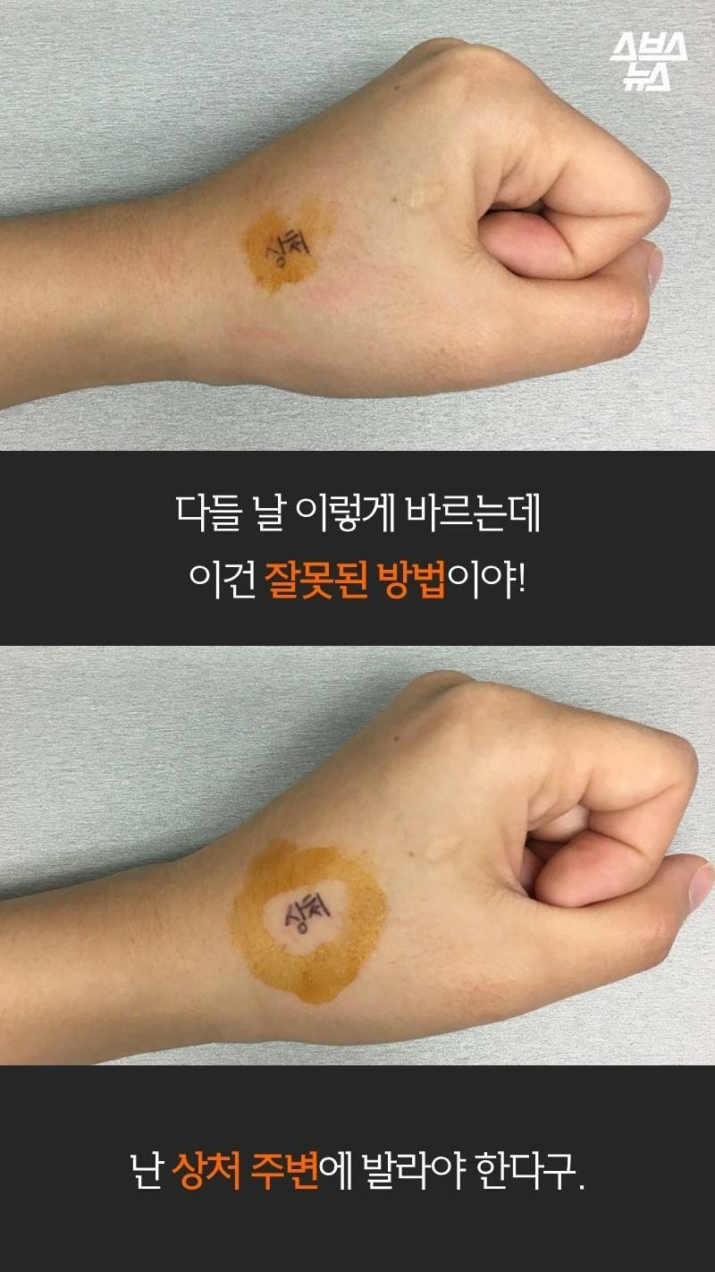어이상실 포비돈 논란 甲.fact