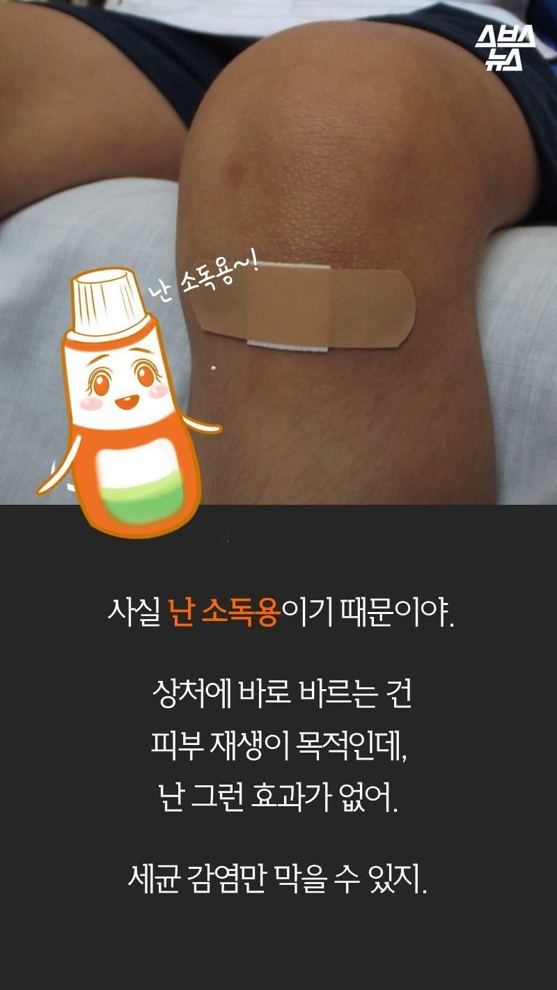 어이상실 포비돈 논란 甲.fact