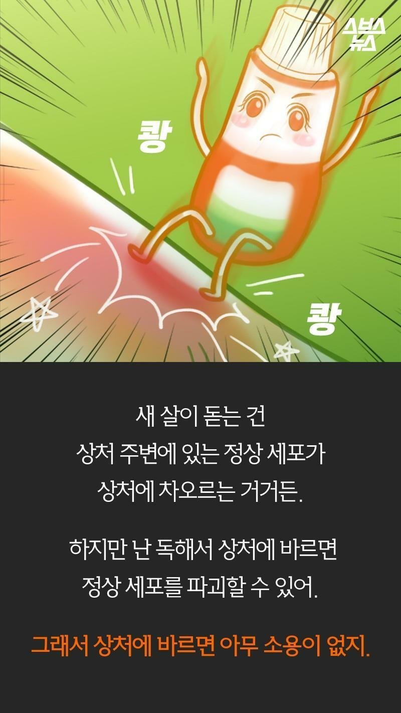 어이상실 포비돈 논란 甲.fact