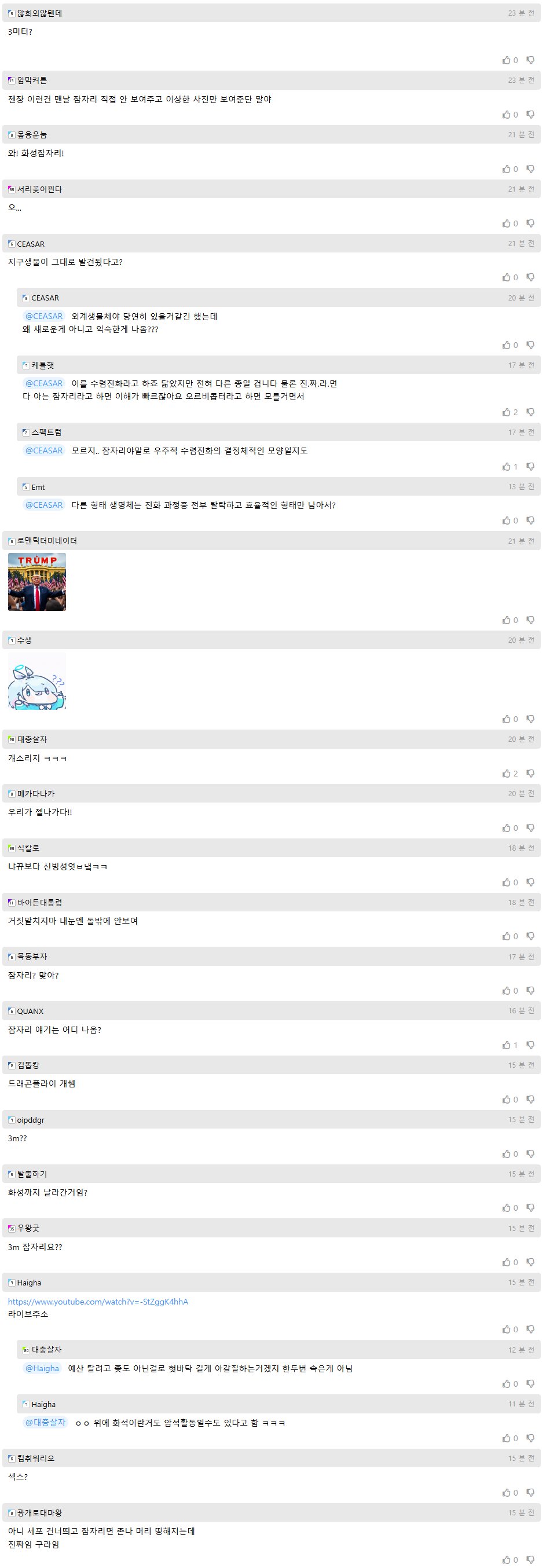 화성에서 3M 크기의 잠자리 화석 2개 발견