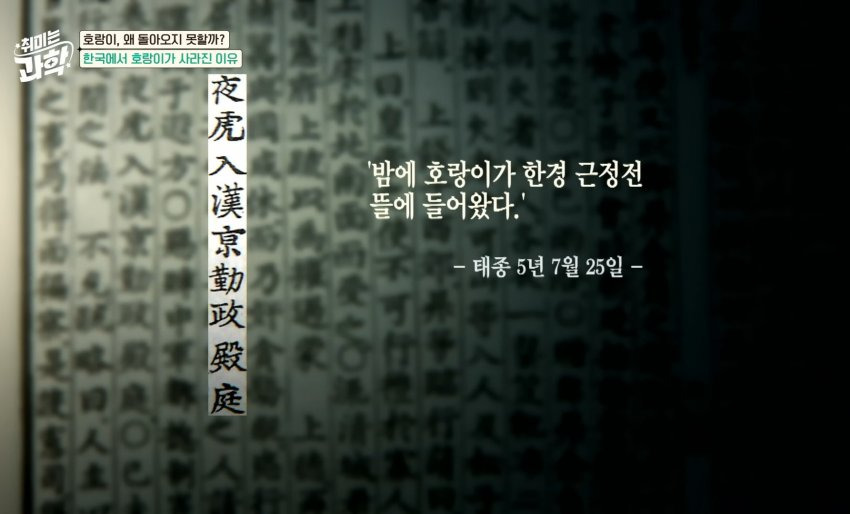 한반도에 호랑이들이 멸종한 이유