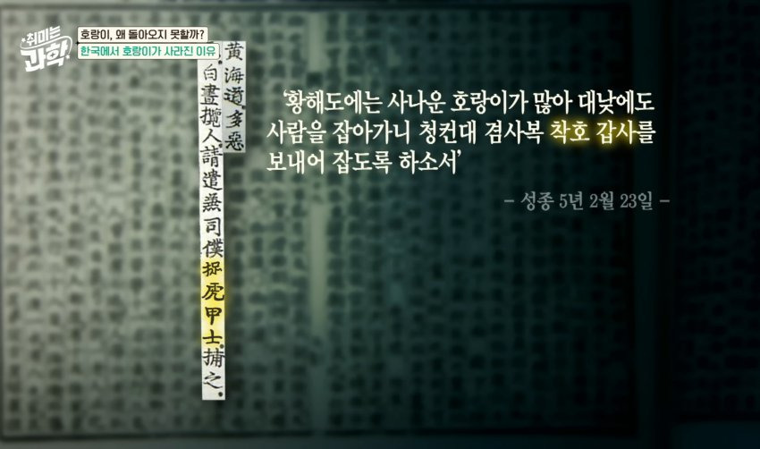 한반도에 호랑이들이 멸종한 이유