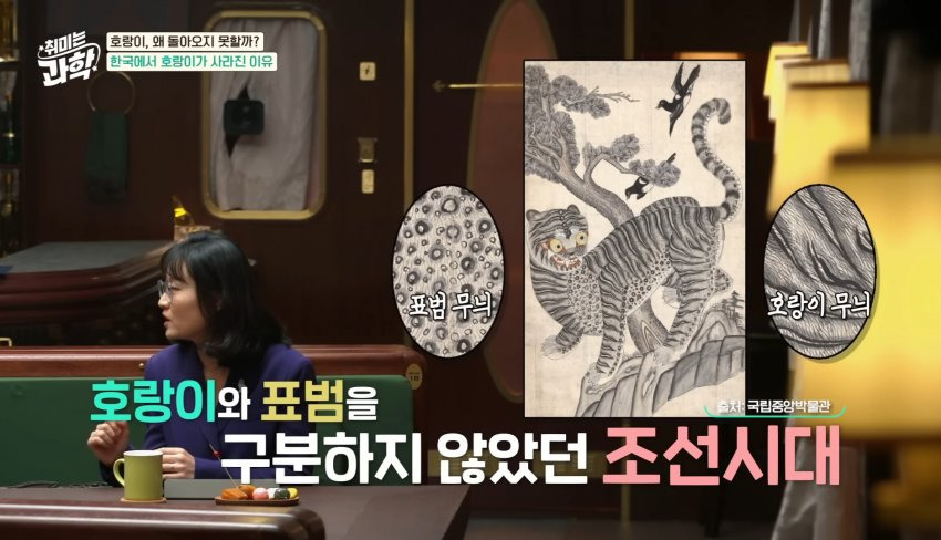 한반도에 호랑이들이 멸종한 이유