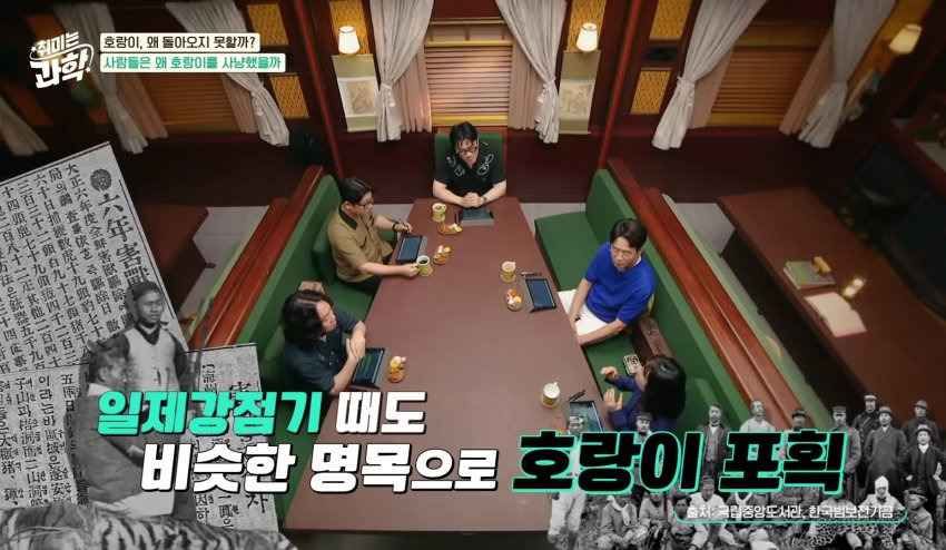한반도에 호랑이들이 멸종한 이유