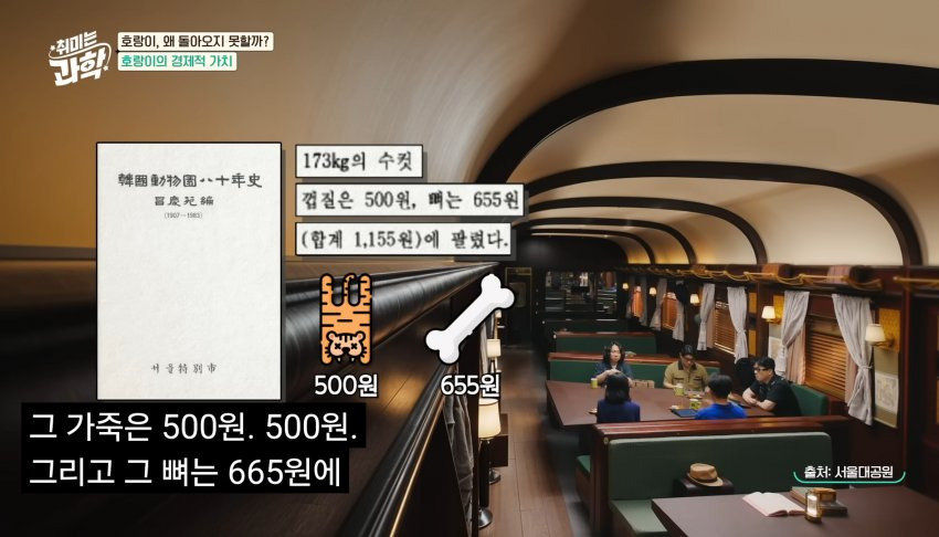 한반도에 호랑이들이 멸종한 이유