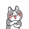 아이브 레이