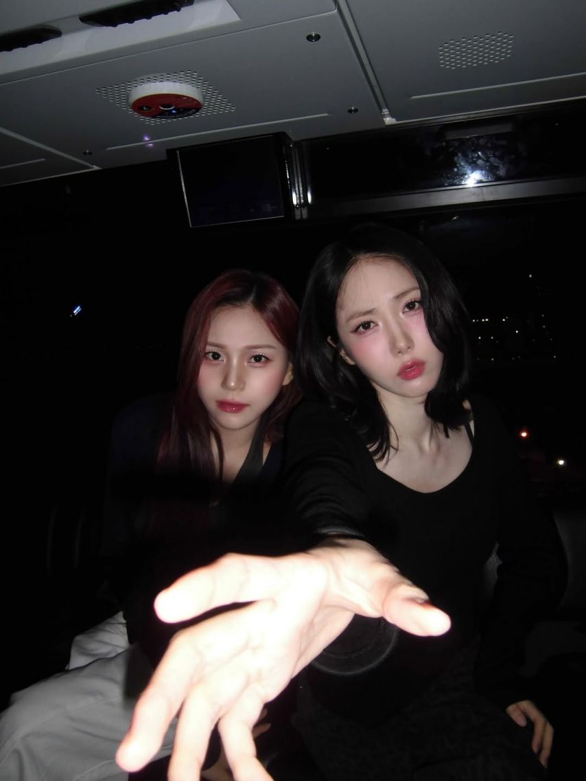 비비지