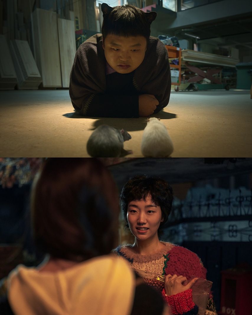 수지 다이루어질지니