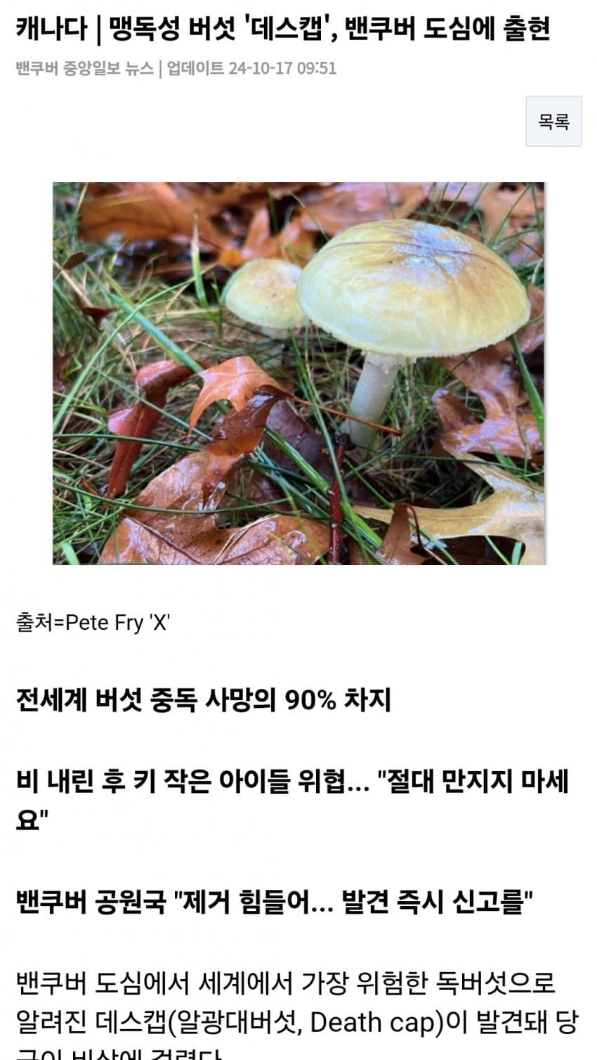 오싹오싹 어머니가 산에서 따오신 버섯