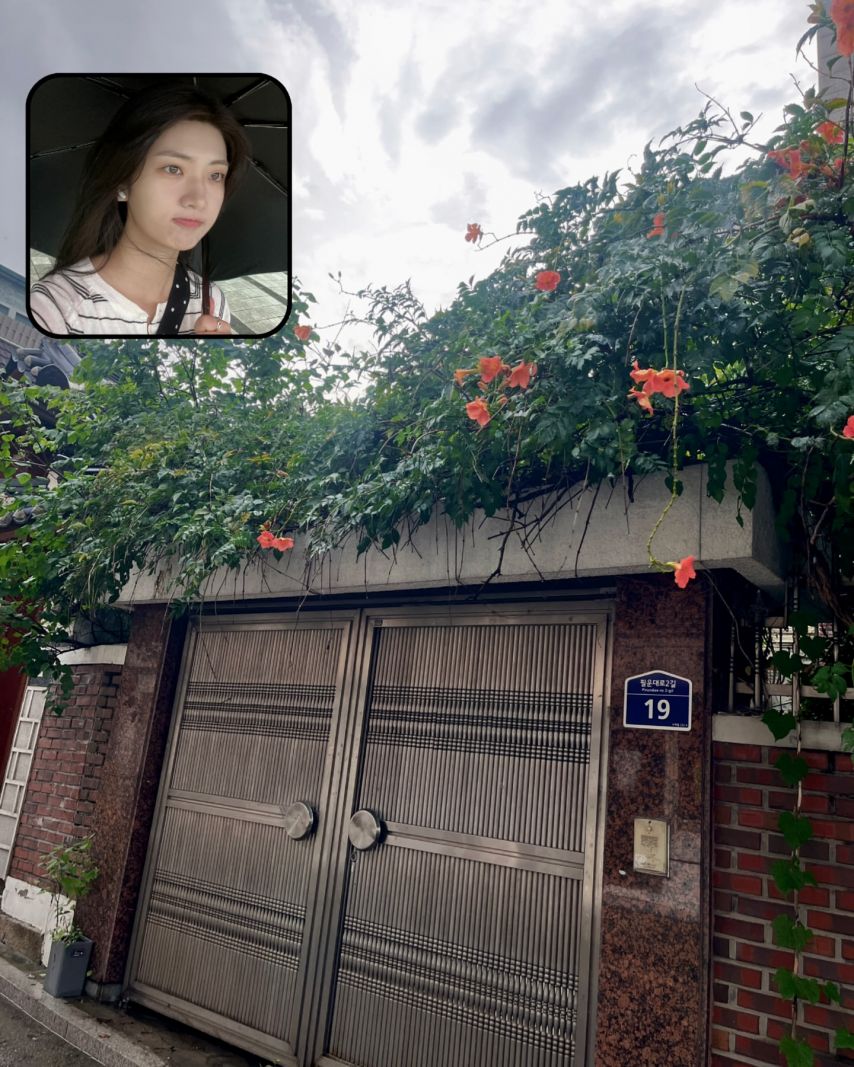 박세현 인스타