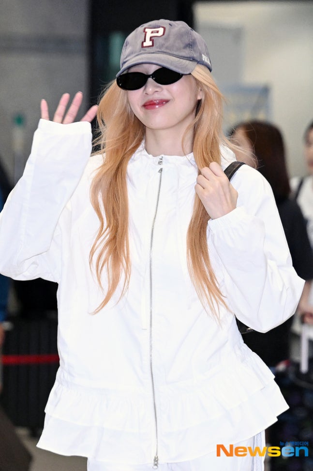 레드벨벳 조이