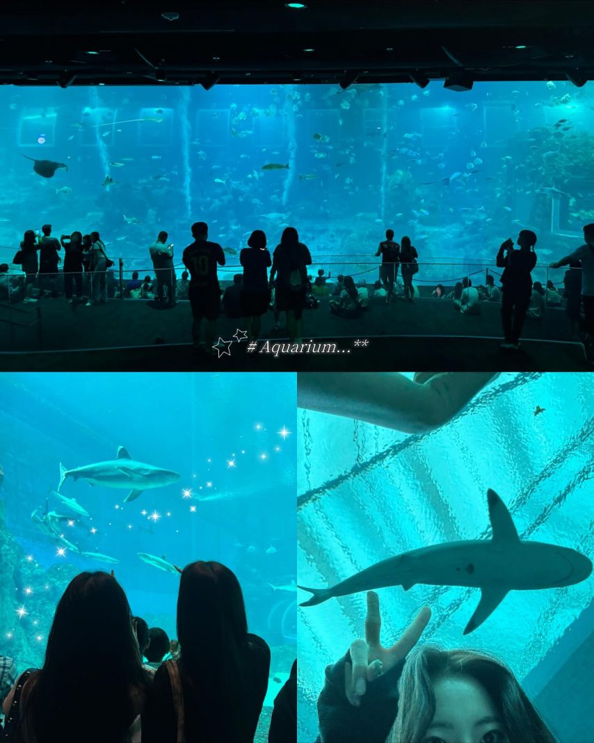 하이키 리이나